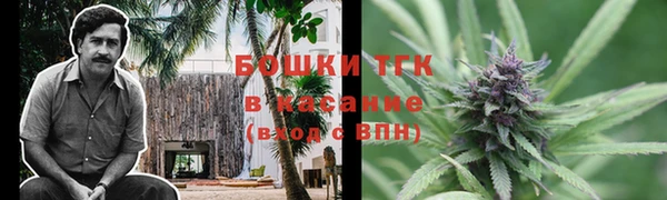 мяу мяу мука Иннополис