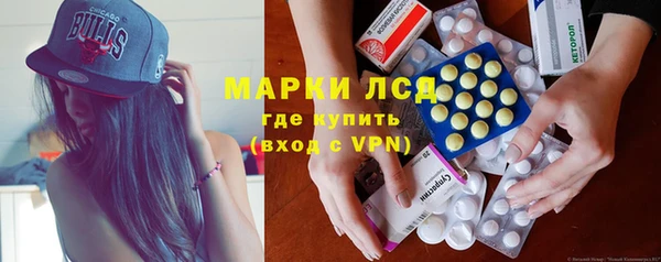 стафф Каменногорск