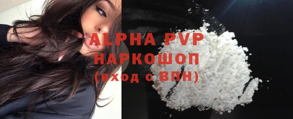 стафф Каменногорск