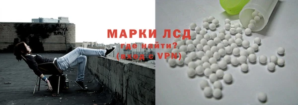 мяу мяу мука Иннополис