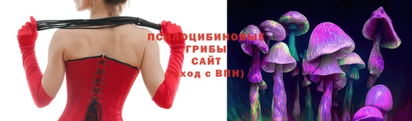 мяу мяу мука Иннополис