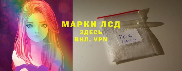 мяу мяу мука Иннополис