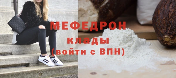 стаф Каменка