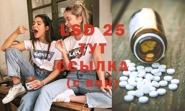мяу мяу мука Иннополис