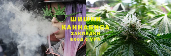 стафф Каменногорск