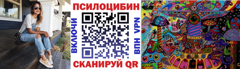 Псилоцибиновые грибы мицелий  где купить наркоту  Меленки 